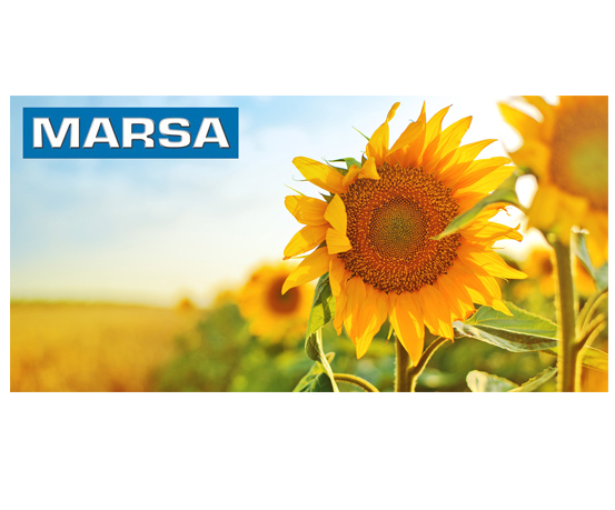 New SAP for 15-year SAP user Marsa