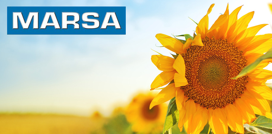 15 yıllık SAP kullanıcısı Marsa'da yeniden, yeni SAP