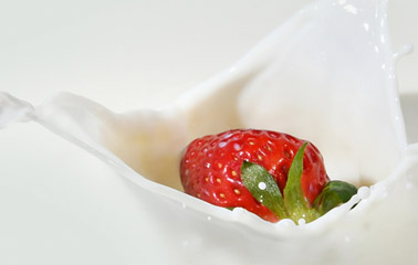 Ak Gıda Mobil Çiğ Süt Toplama Projesi Başarıyla Tamamlandı