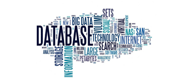 Veri Tabanı ve Altyapı İş Birimimiz, açık kaynak kodlu veritabanlarını ürünleştirecek