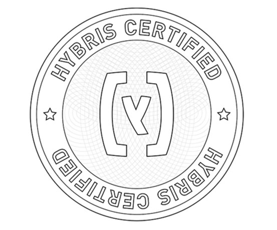 Medyasoft Crowned its Hybris Competence